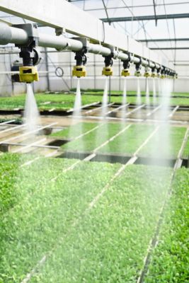 Spraying crops in a farm greenhouse
