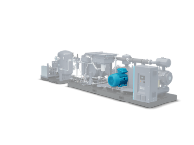 ZP FF highlight internal