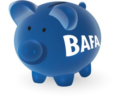 ALUP BAFA-Förderung