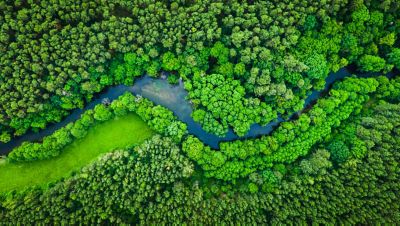 River and green forest in Tuchola natural park, aerial view