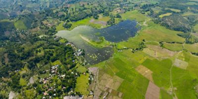 Agriculture forestry and fishing