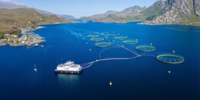 Animal production and aquaculture
