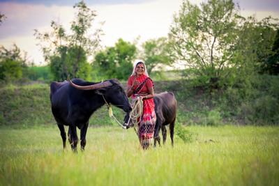 Happy farmer woman with her cows