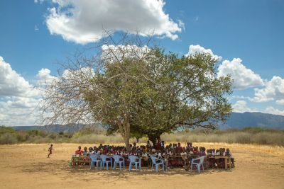 Going to school under a tree