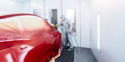 Automotive body, paint, and interior