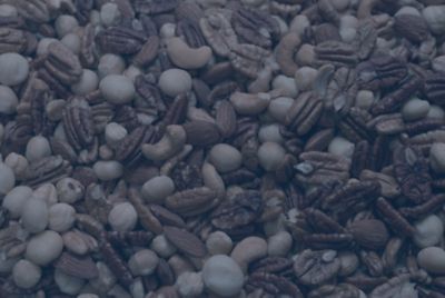 A layer of mixed nuts with a blue overlay