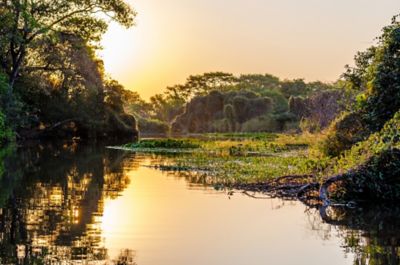 Lake with nature around at sunset.