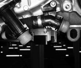 Presence and Absence Check 