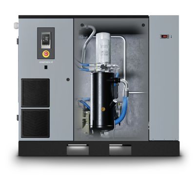 Creemers_RCC_18_FREQ_BMD_ghost_front