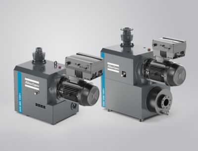 Dry vacuum pumps