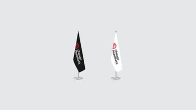Flags example.