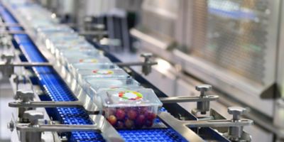 Food manufacturing