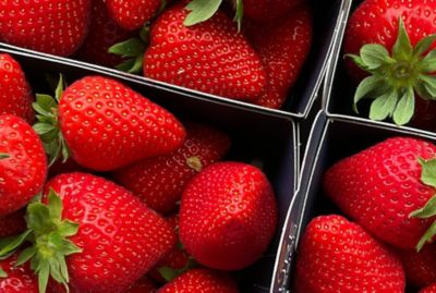 Fresh strawberries