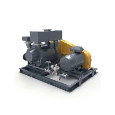 AWL liquid ring vacuum pump