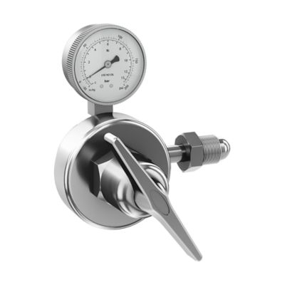 Special application gas regulators
