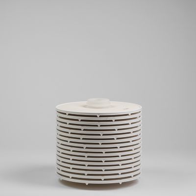 Product image of lenticular filter DAL