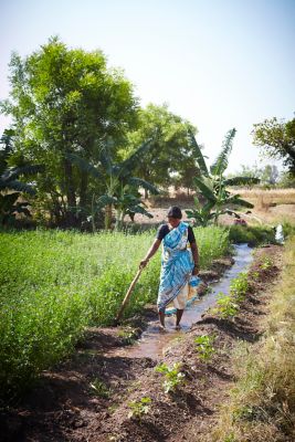 Woman walking in a field in India
