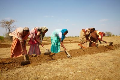 Women working in the field