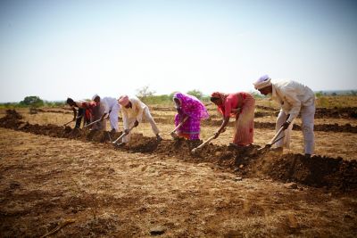 Women and men working in the field
