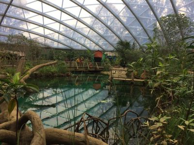 Mangrove Zoo Holland