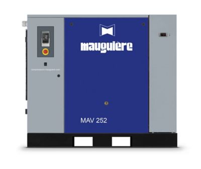 MAV 252 - Mauguière