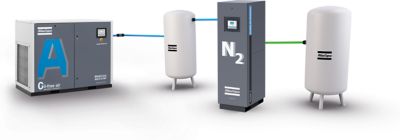 NGM nitrogen generator - with AQ oil-free screw compressor 