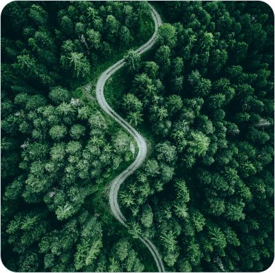 An overhead view of a green forest with a pathway through the middle