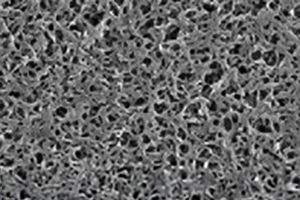 Nylon filter media image