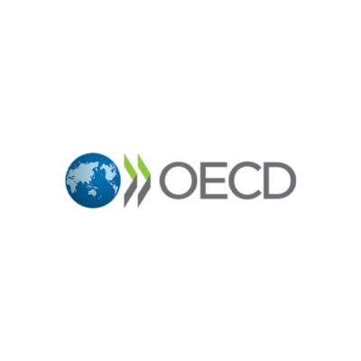 OECD logotype transparent