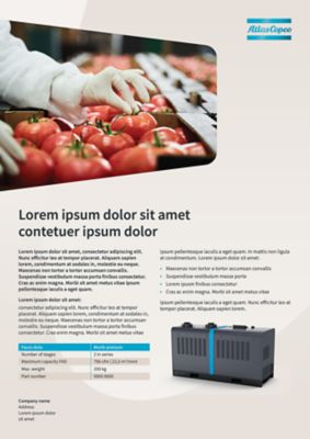 One page flyer with text and an image in a small innovation flag at the top