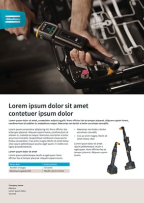 One page flyer with text and a full image in the top half