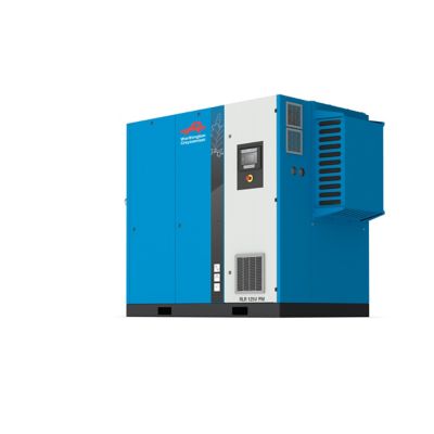immagine RLR 100V PM e RLR 125V 