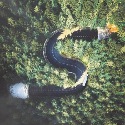 GA VSDs poster forest square