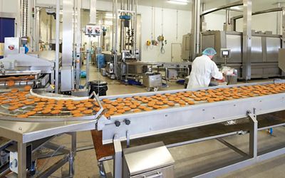 Productielijn bij Dalco Food