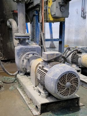 Pumps for recycling industry