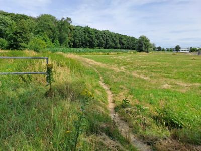 Struisbeek vallei gronden
