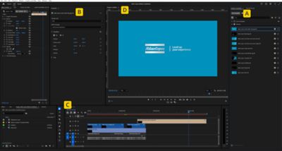 Template for Adobe Premiere with highlighted points