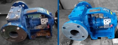 Maintenance for internal gear pump