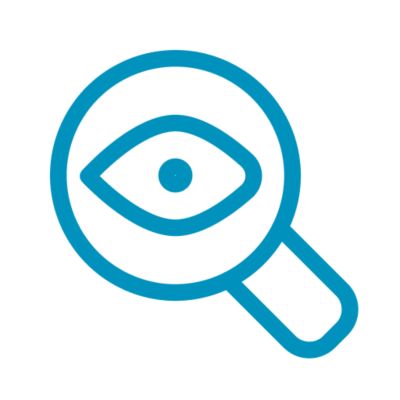 Visual check icon