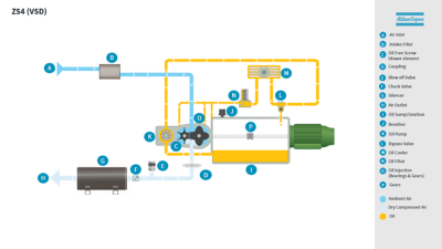 ZS 4 (VSD(+)) Flow Diagram