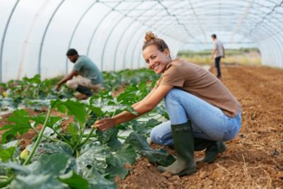 Agriculture application