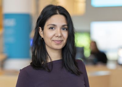 Ava Mazaheri, Ergonomics Engineer i Sverige