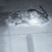 board defect delamination