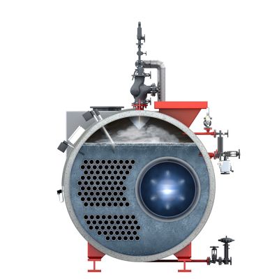 A cross-sectional view of a Bosch steam boiler, revealing internal components such as heating tubes, water levels, and the burner area.