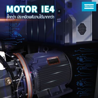 motor-IE4