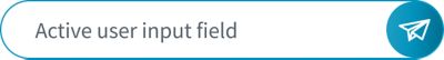 User input field in an active state