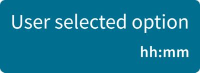 Template user selected option