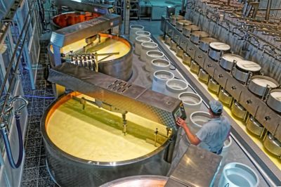 A worker operates a tank making cheese in a factory