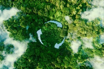 Représentation du concept d'écologie.