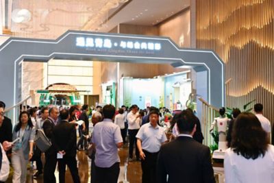 VP-Qingdao